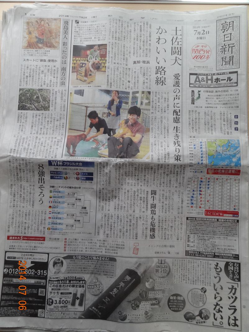 ２　夕刊　DSC04238