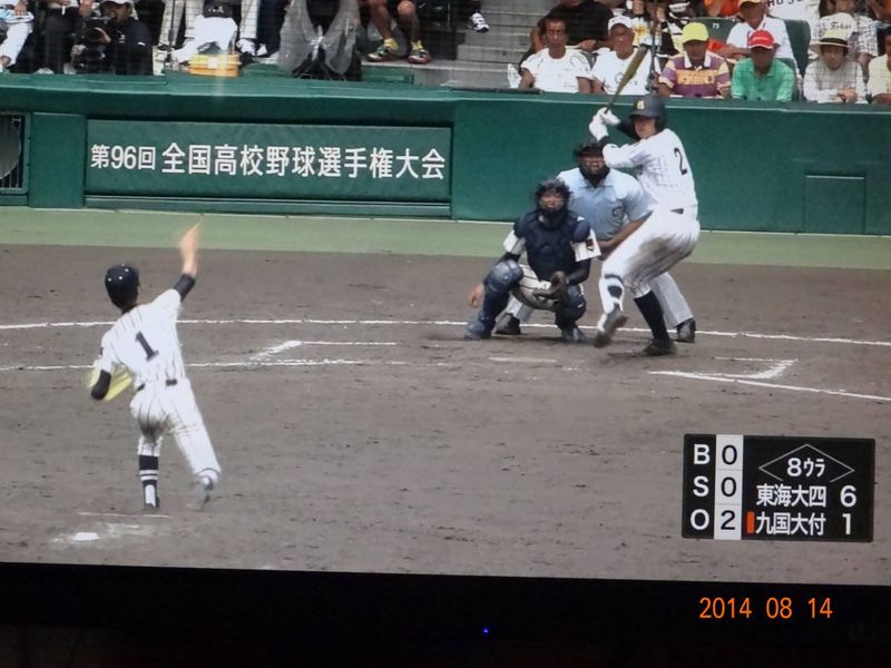 DSC08270 DSC08270
