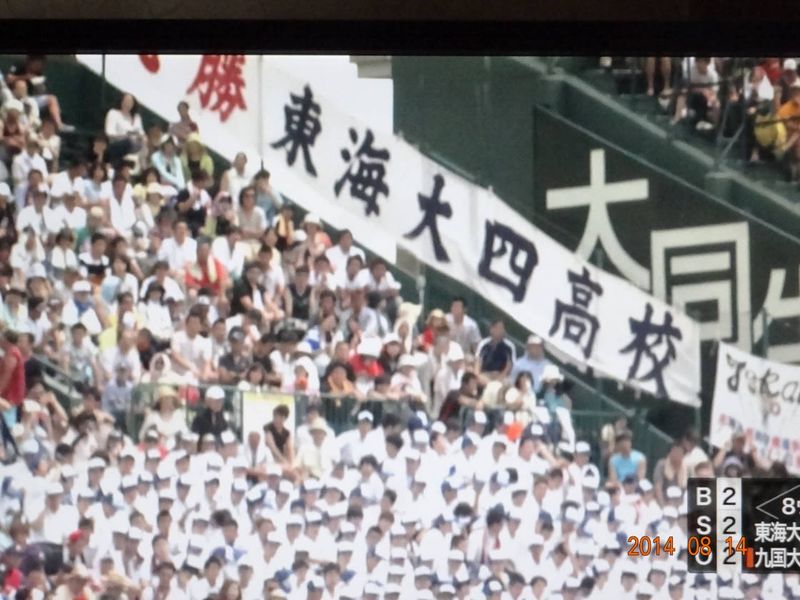 DSC08275 DSC08275