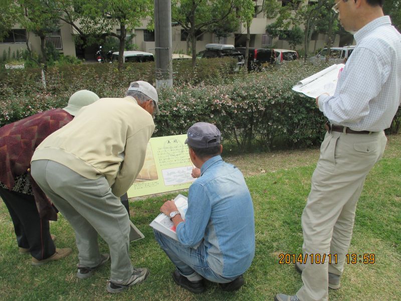 IMG_2445 IMG_2445