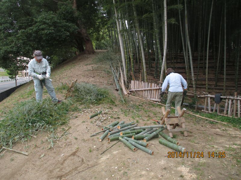 IMG_0363 IMG_0363