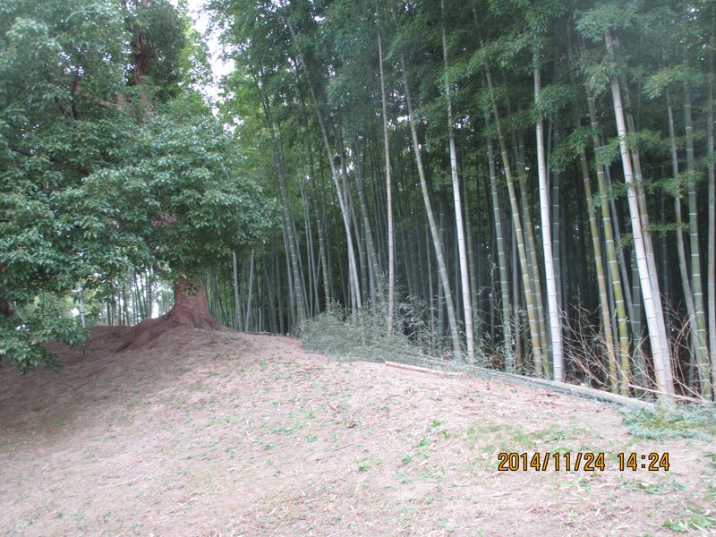 IMG_0360 IMG_0360