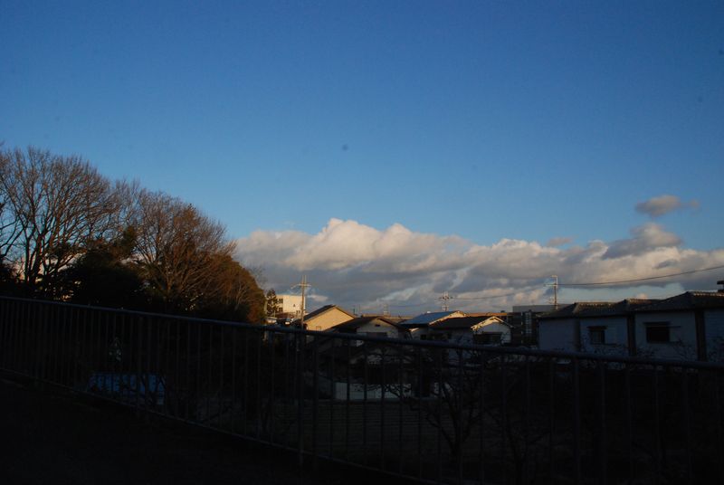 DSC_0880