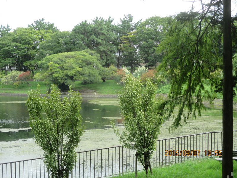 IMG_0004 IMG_0004