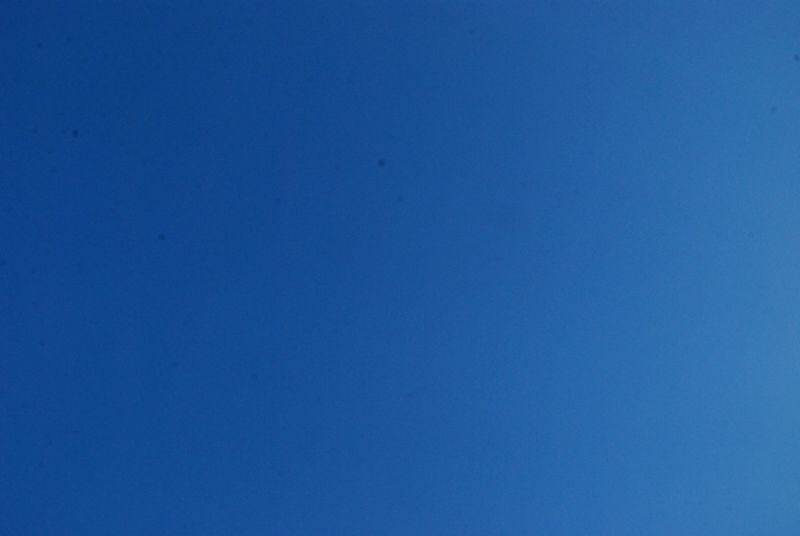 DSC_6307