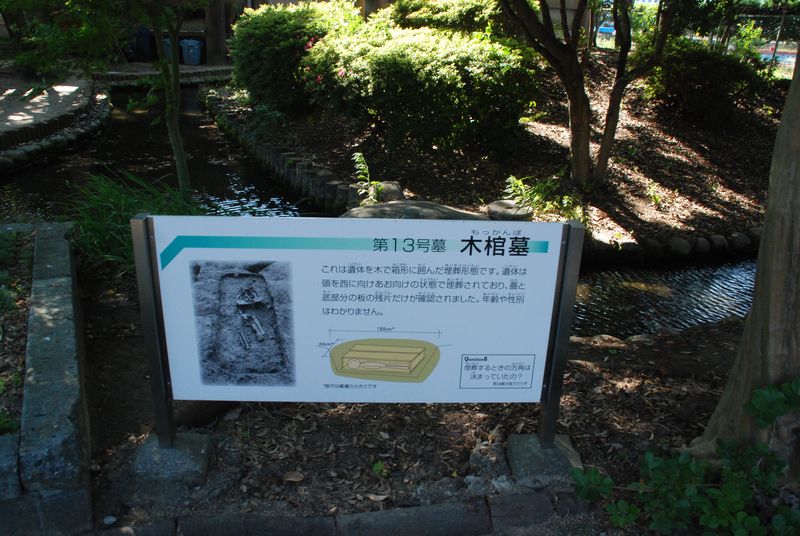 DSC_0663 DSC_0663