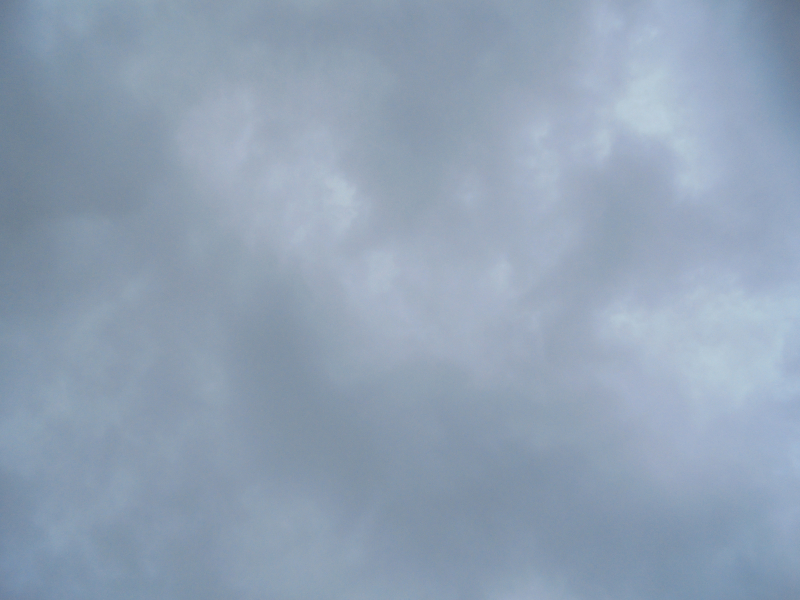 DSC03432