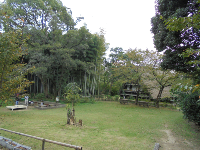 DSC07093