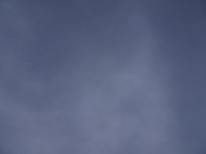 DSC01604