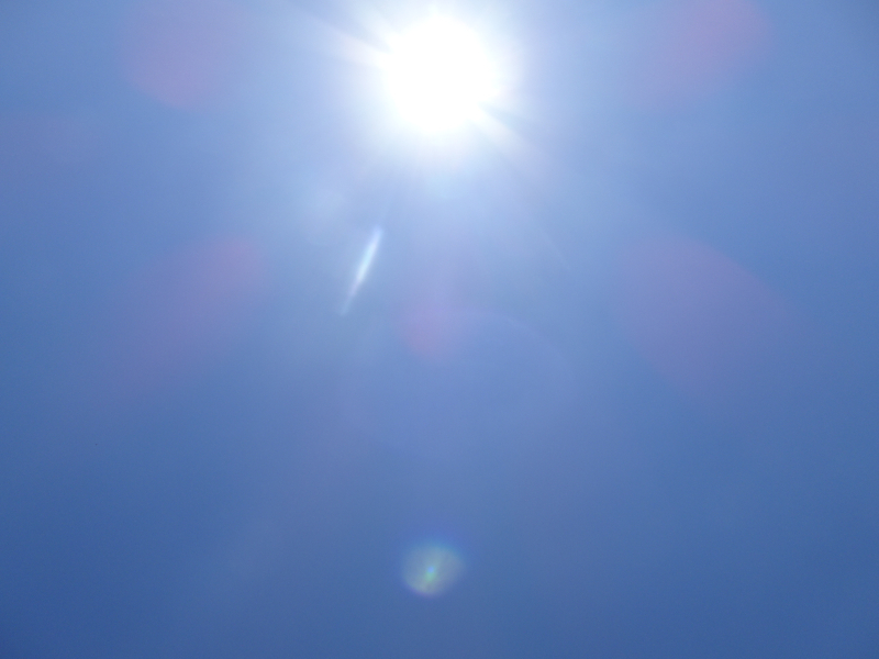 DSC05077