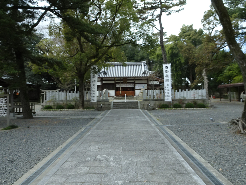 DSC03023