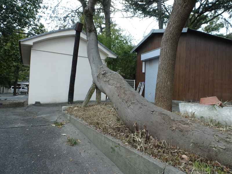 DSC03059