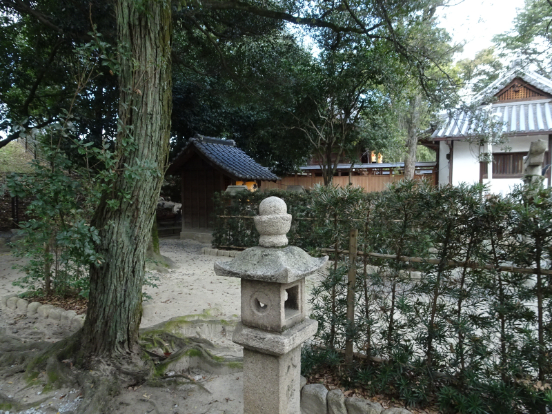 DSC03077