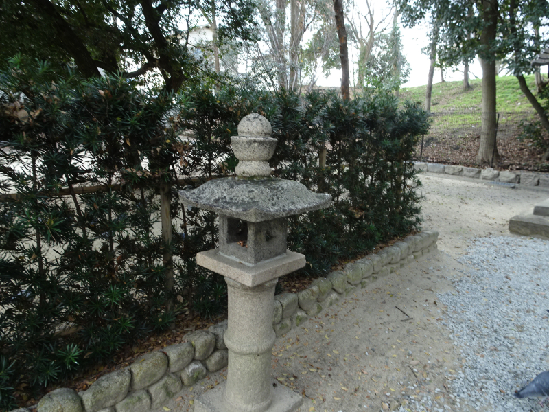 DSC03076