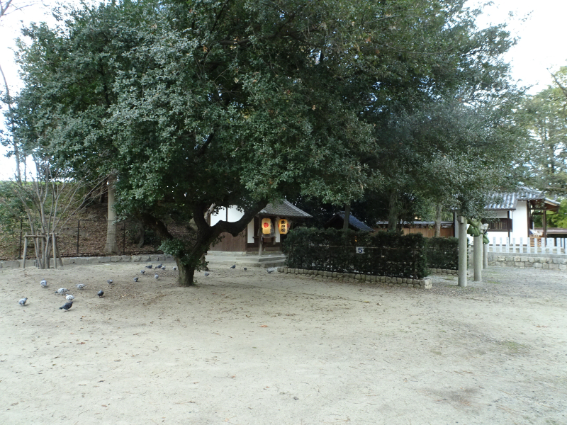 DSC03081