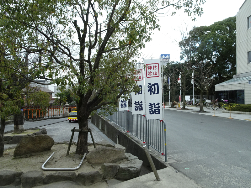DSC03140