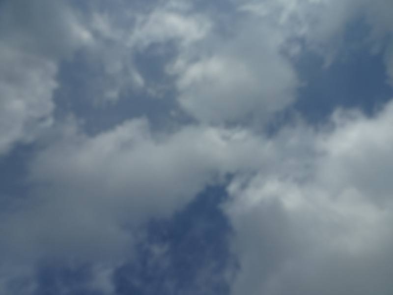 DSC04490