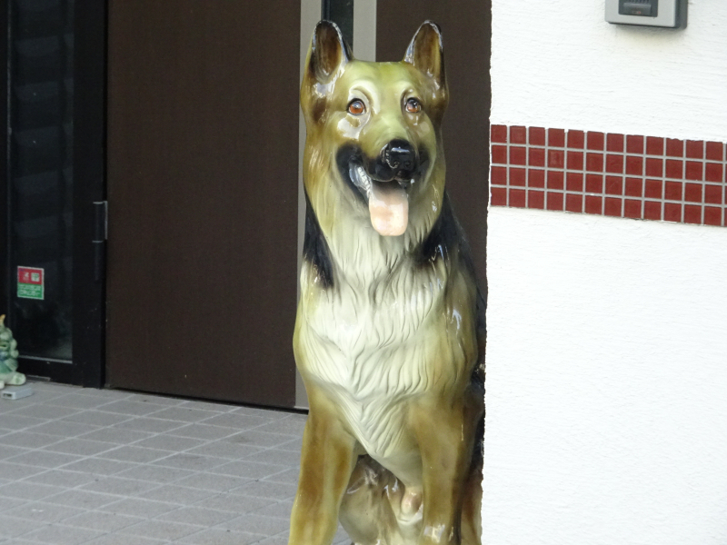 DSC09903