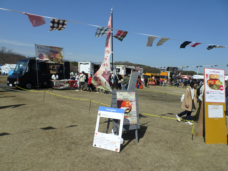 DSC08331