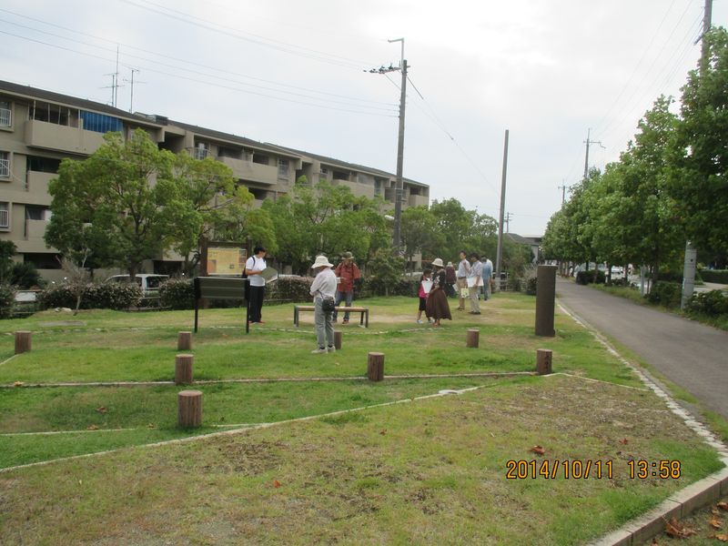 IMG_2443 IMG_2443