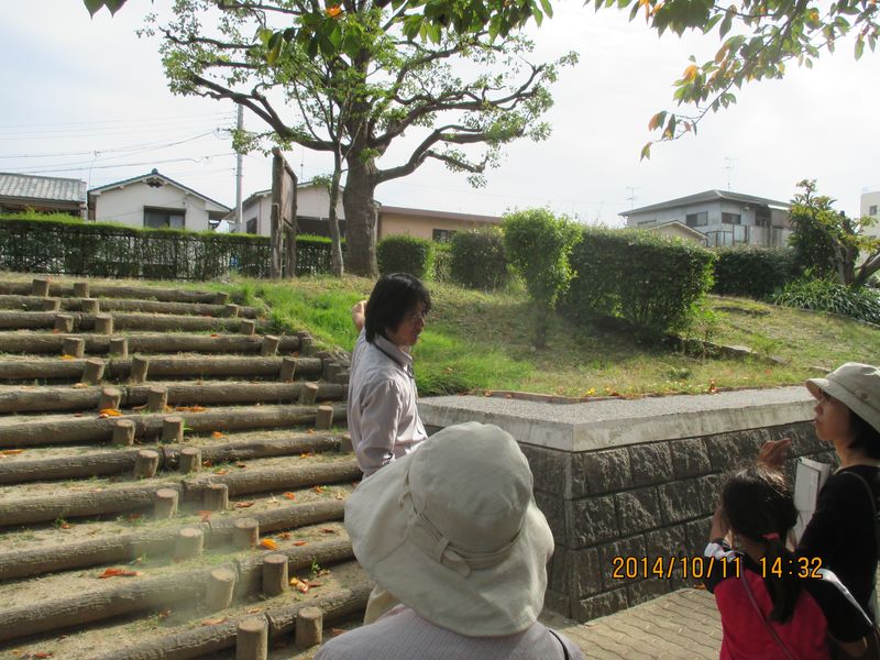 IMG_2469 IMG_2469