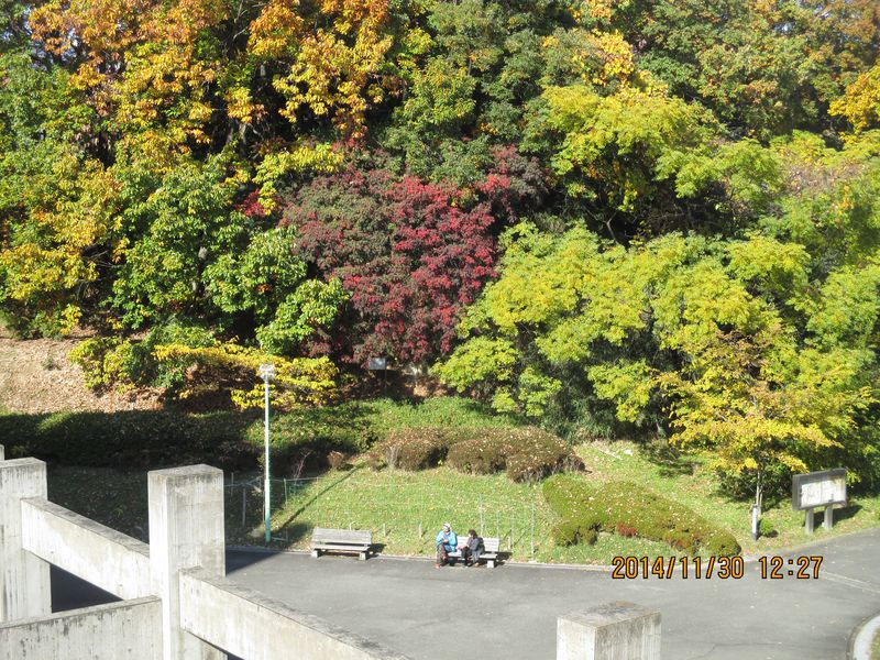 IMG_0777 IMG_0777