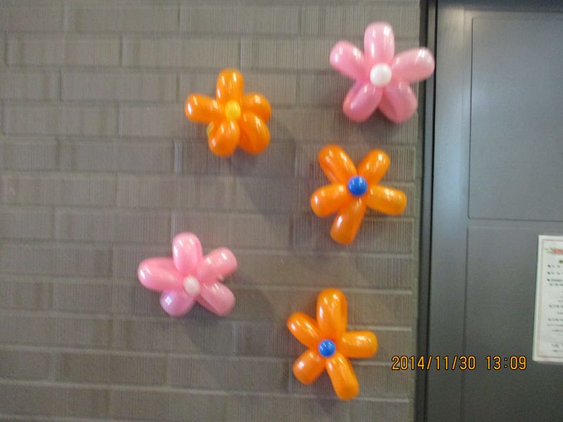 IMG_0795 IMG_0795
