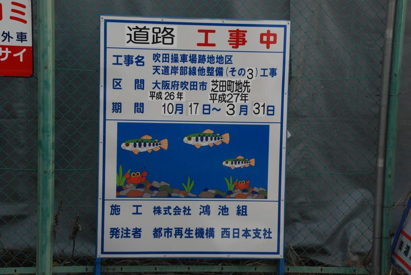 DSC_0916 DSC_0916