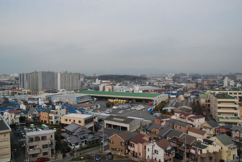 DSC_0919 DSC_0919