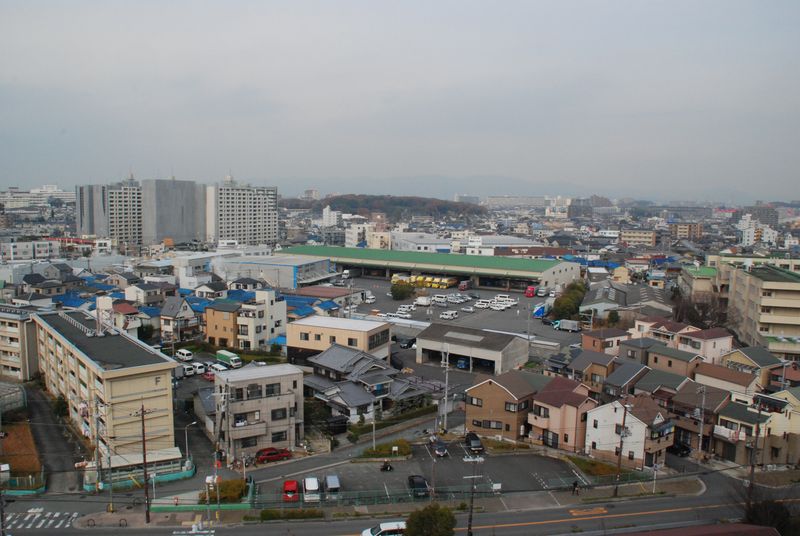 DSC_0923 DSC_0923
