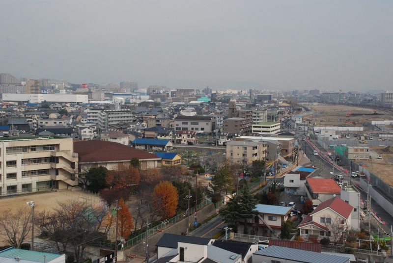 DSC_0942 DSC_0942