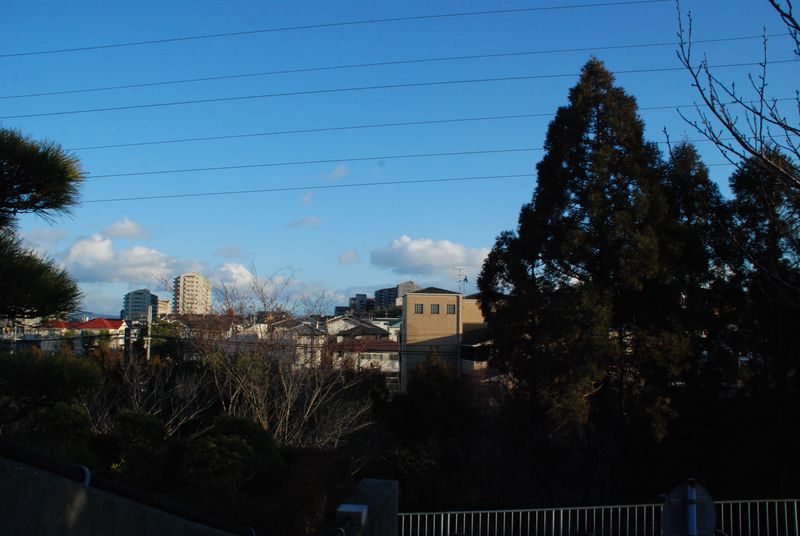 DSC_0870