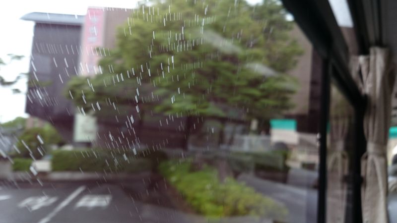 DSC_0793 DSC_0793