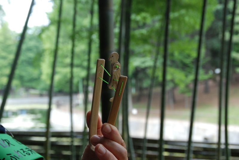 DSC_3966 DSC_3966