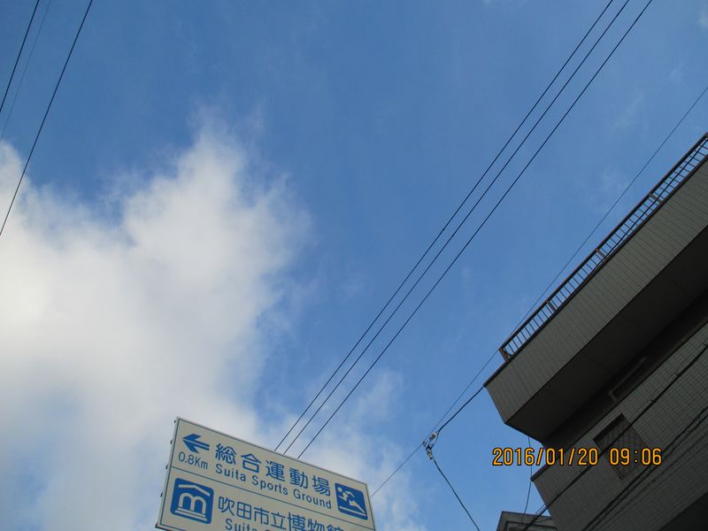 IMG_3846 IMG_3846
