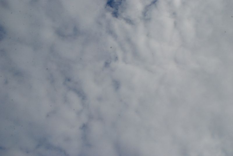 DSC_2369