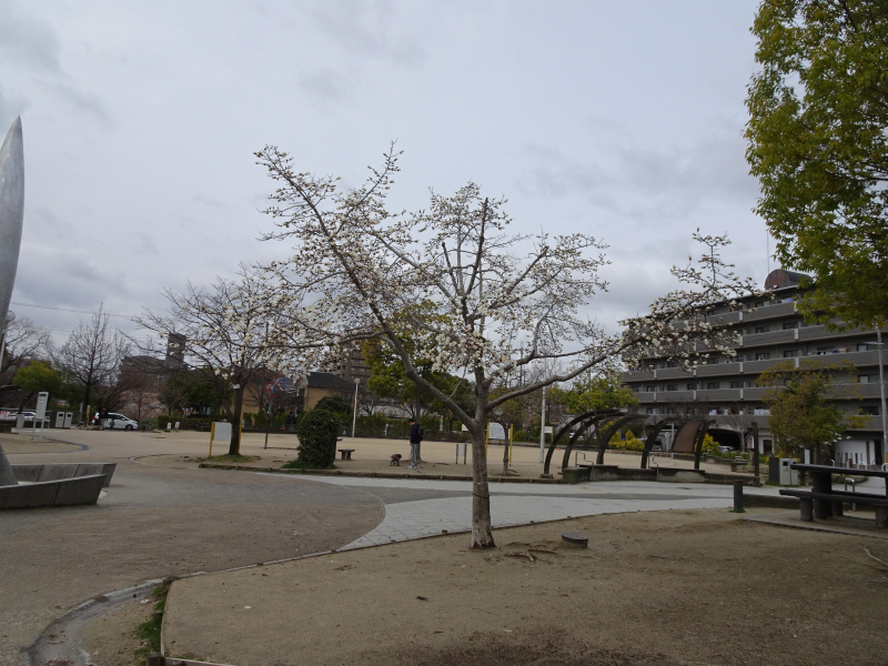 DSC07956