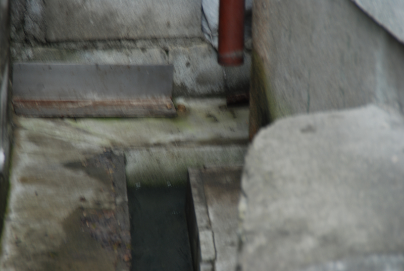 DSC_9611