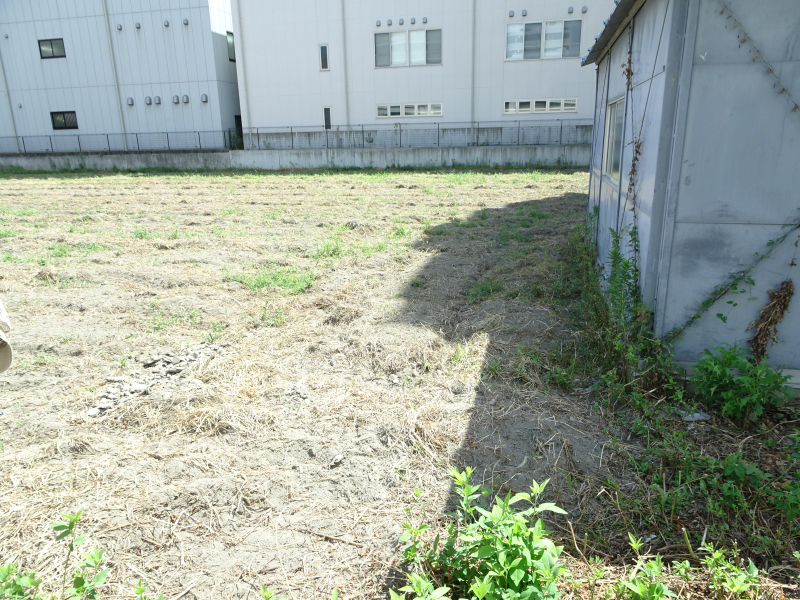 DSC08151