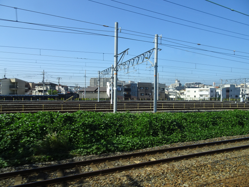 DSC06983