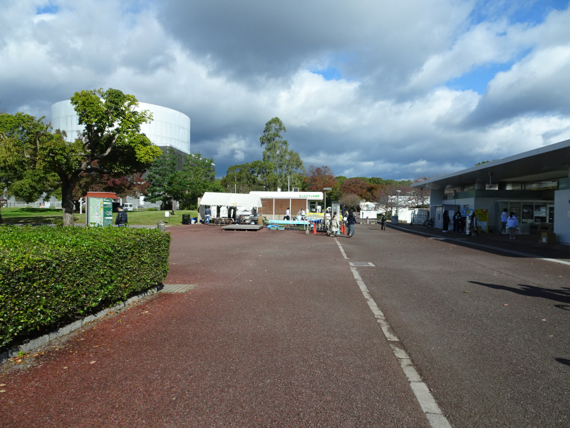 DSC01230