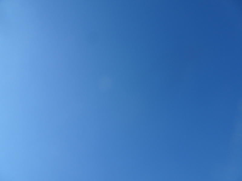 DSC02104