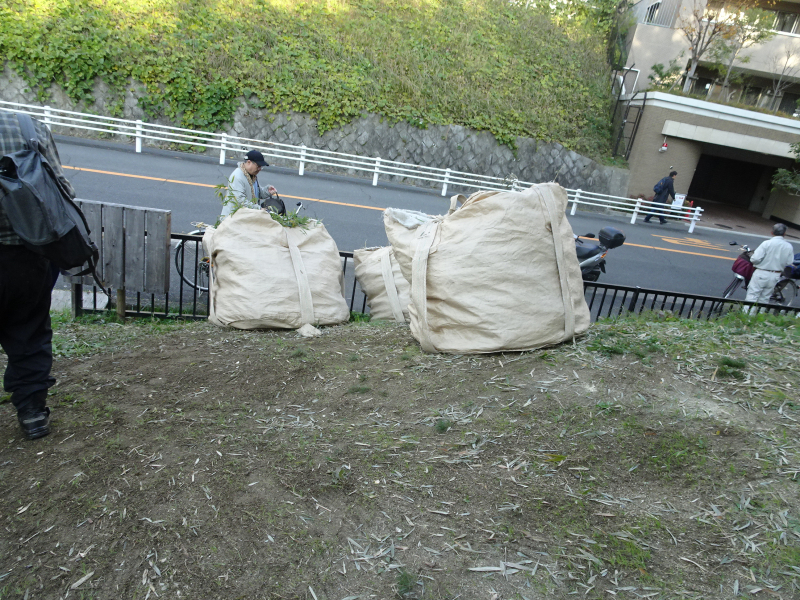 DSC02770 DSC02770