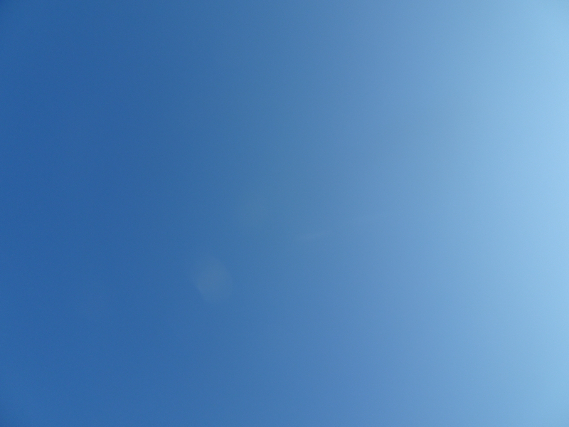 DSC09339