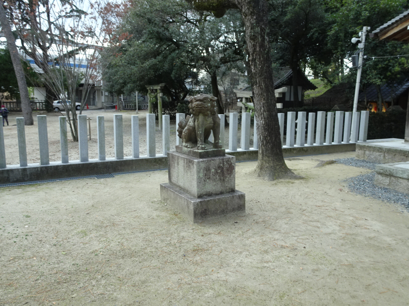 DSC03030