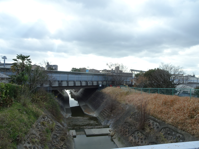 DSC03090