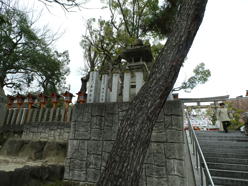 DSC03144