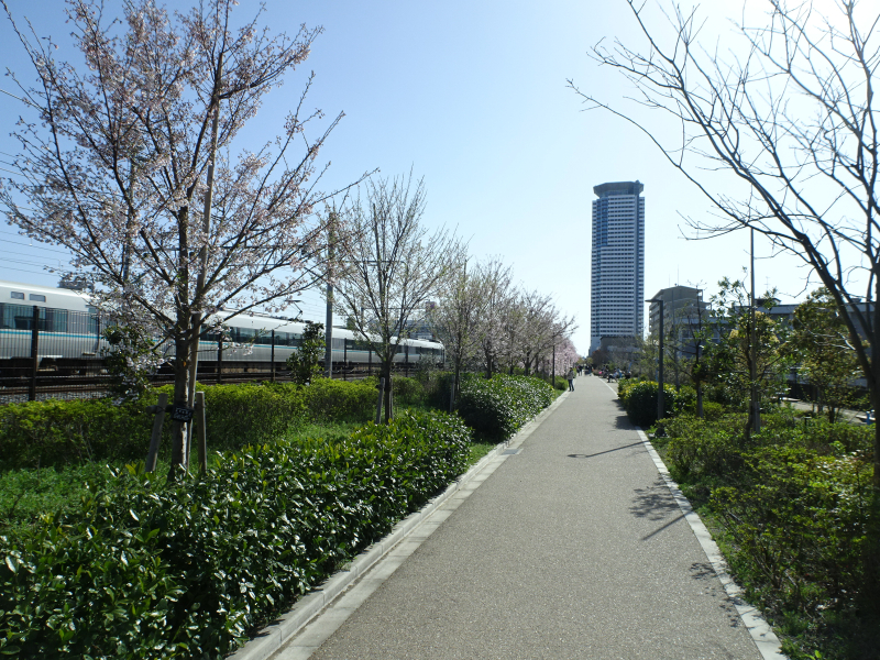 DSC09898