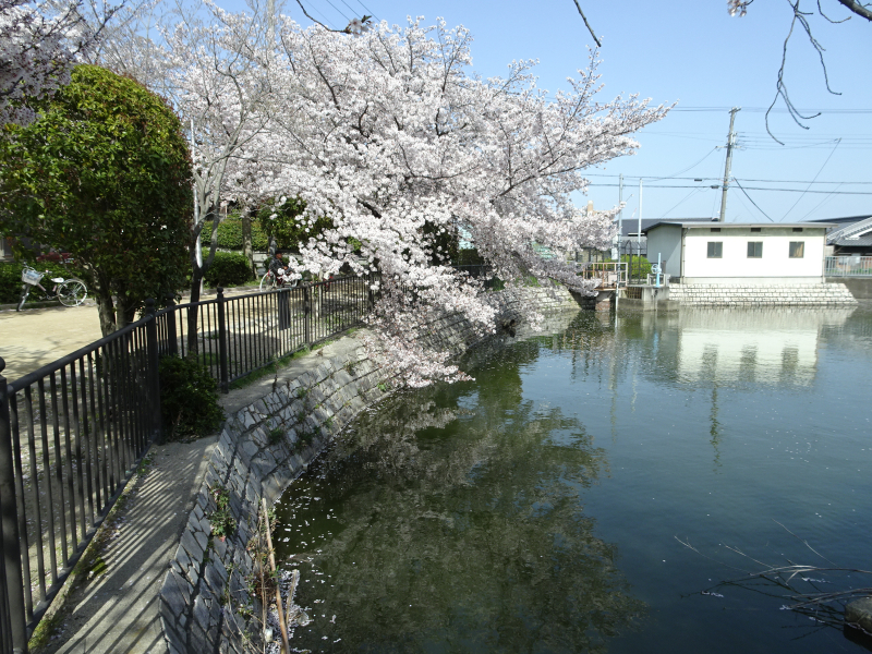 DSC00303