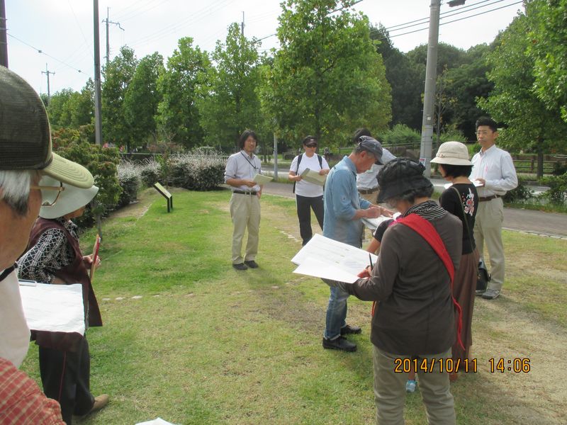 IMG_2452 IMG_2452